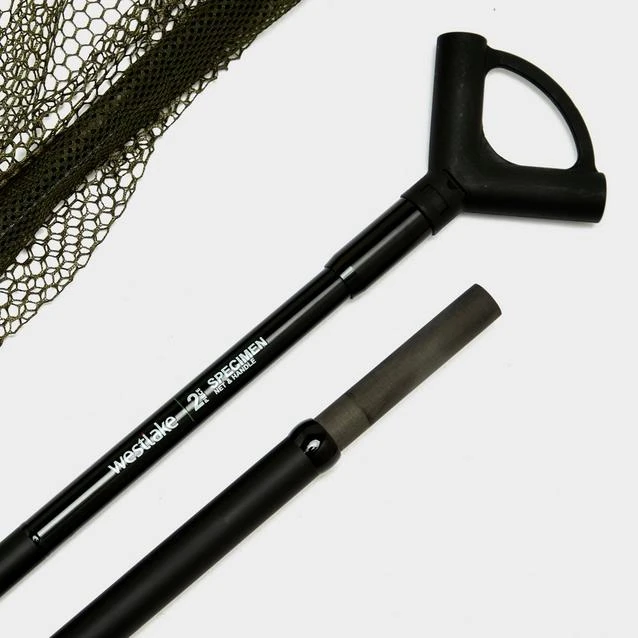 2-Piece Specimen Net And Handle 4 2-Piece Specimen Net And Handle - Image 2